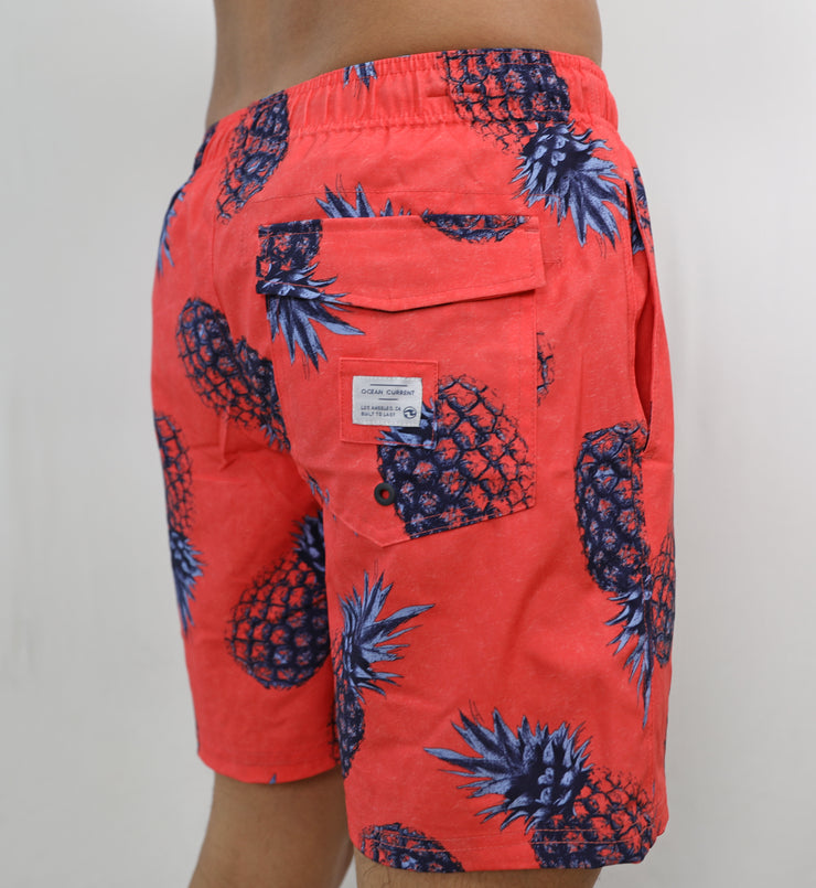 Pinaloco coral (YOUNG MENS)